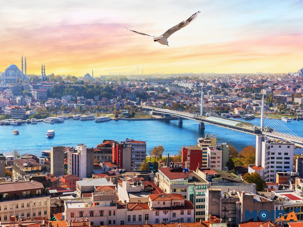 Istanbul-Sunset-Seagull-Bosphorus-Turkey