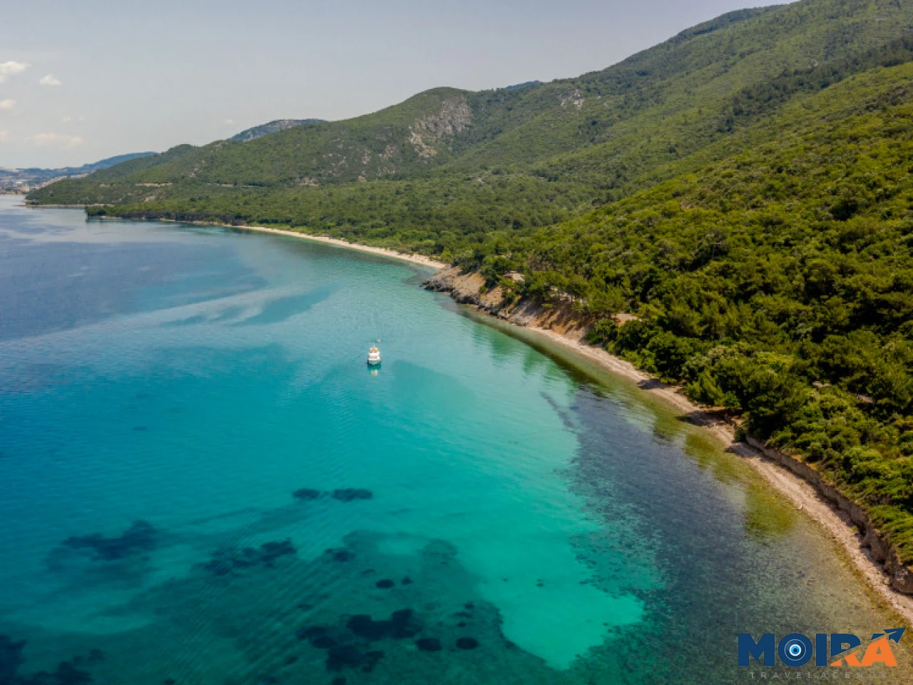 turquoise-sea-and-forest-coast-turkey